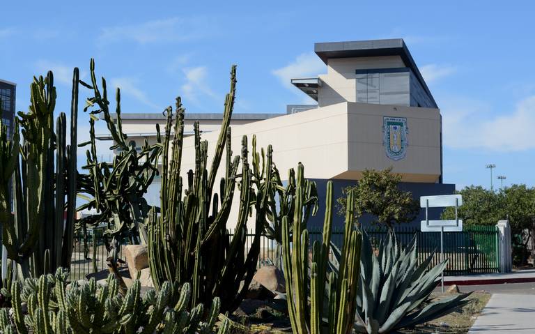 Dudan sobre la modalidad en línea para universitarios