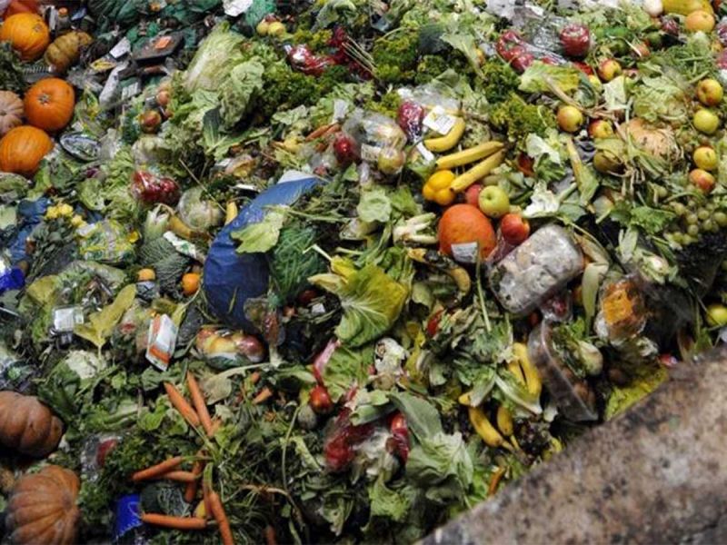 Desperdiciar comida calienta al planeta; América Latina tiene mayor pérdida