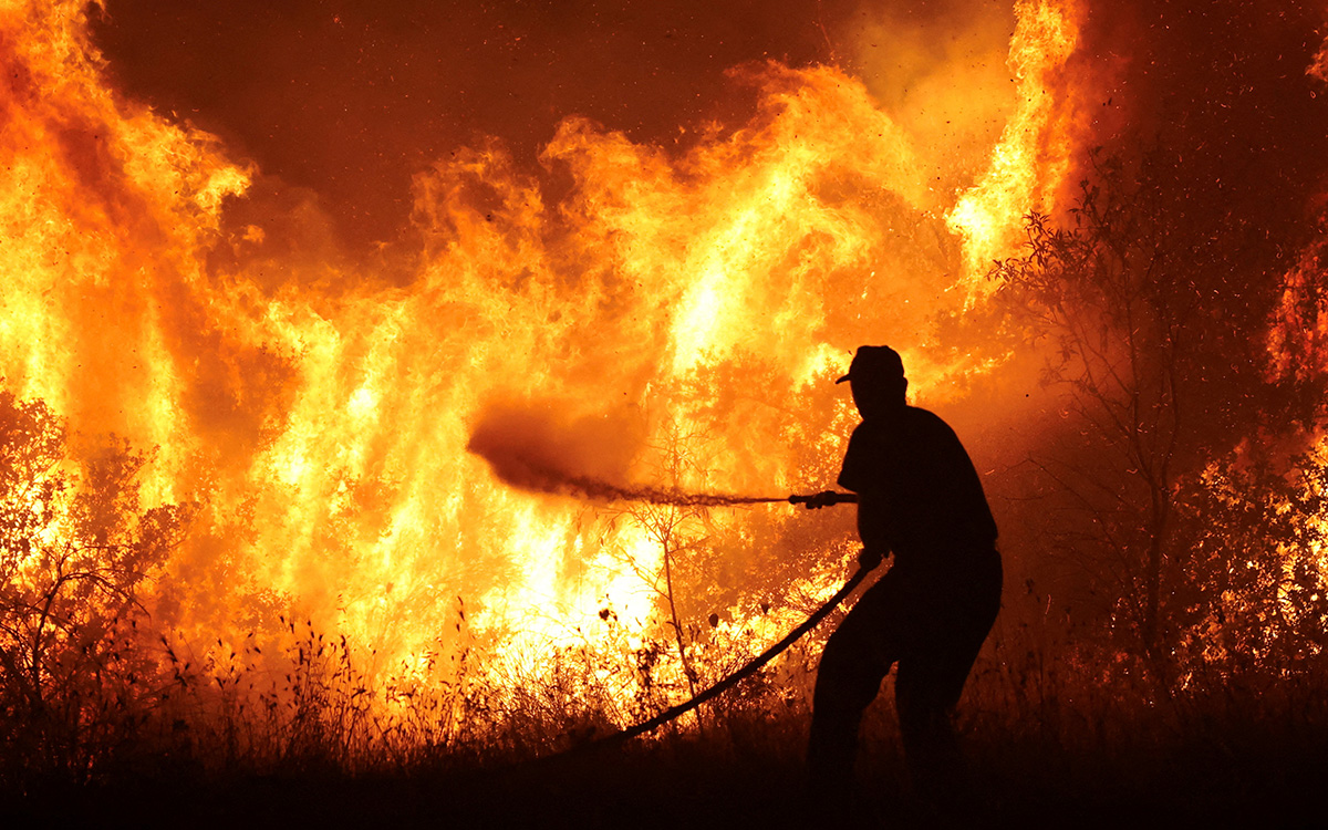 México enfrenta 114 incendios forestales en medio de sequía: Protección Civil